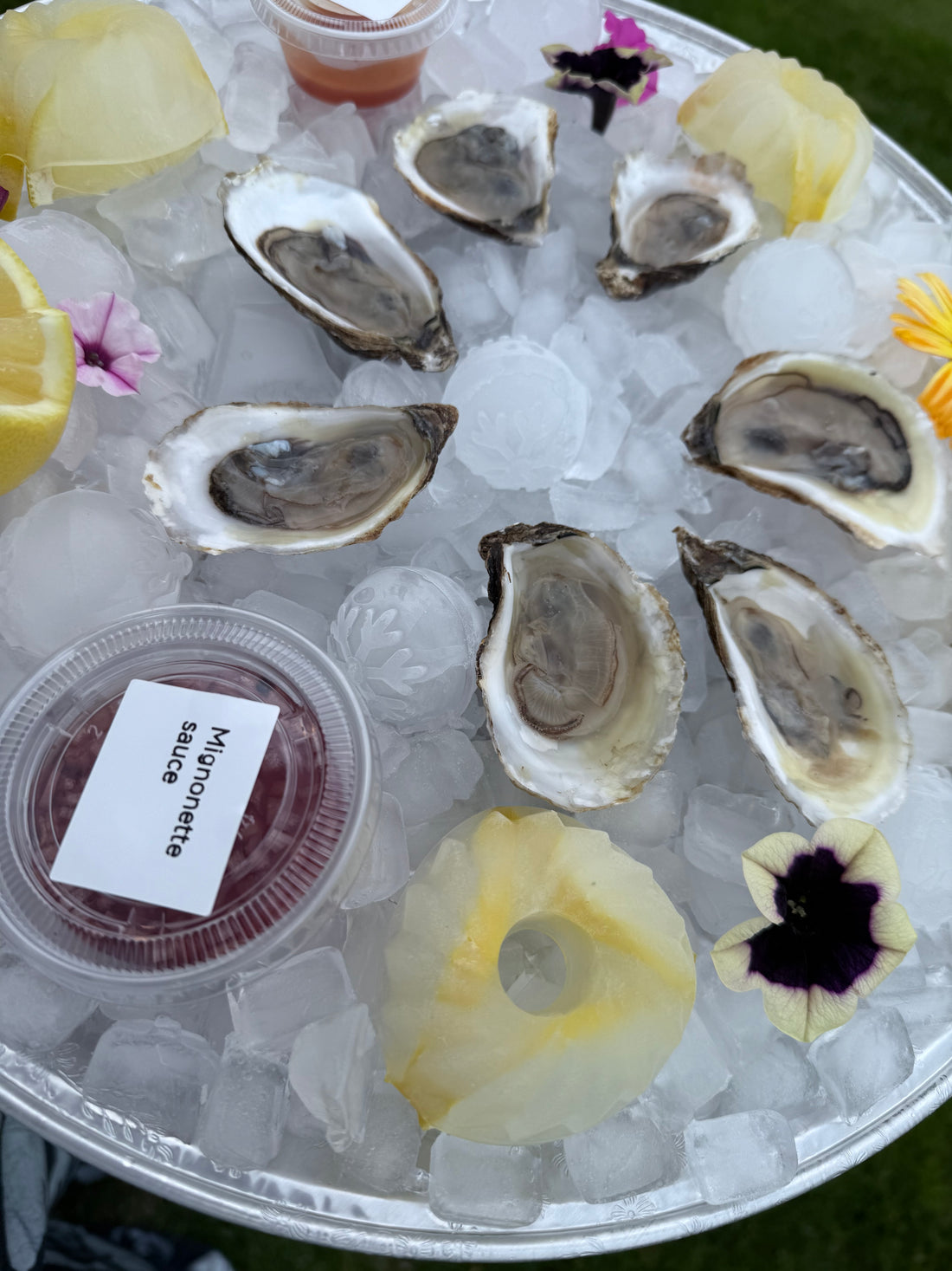 Oysters platters