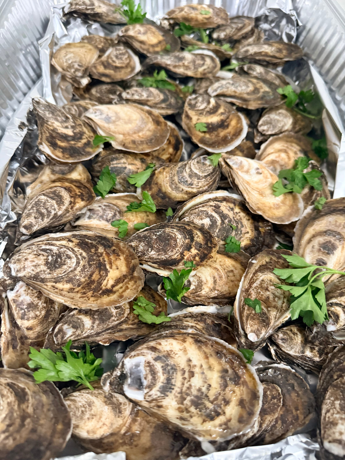 Oysters platters