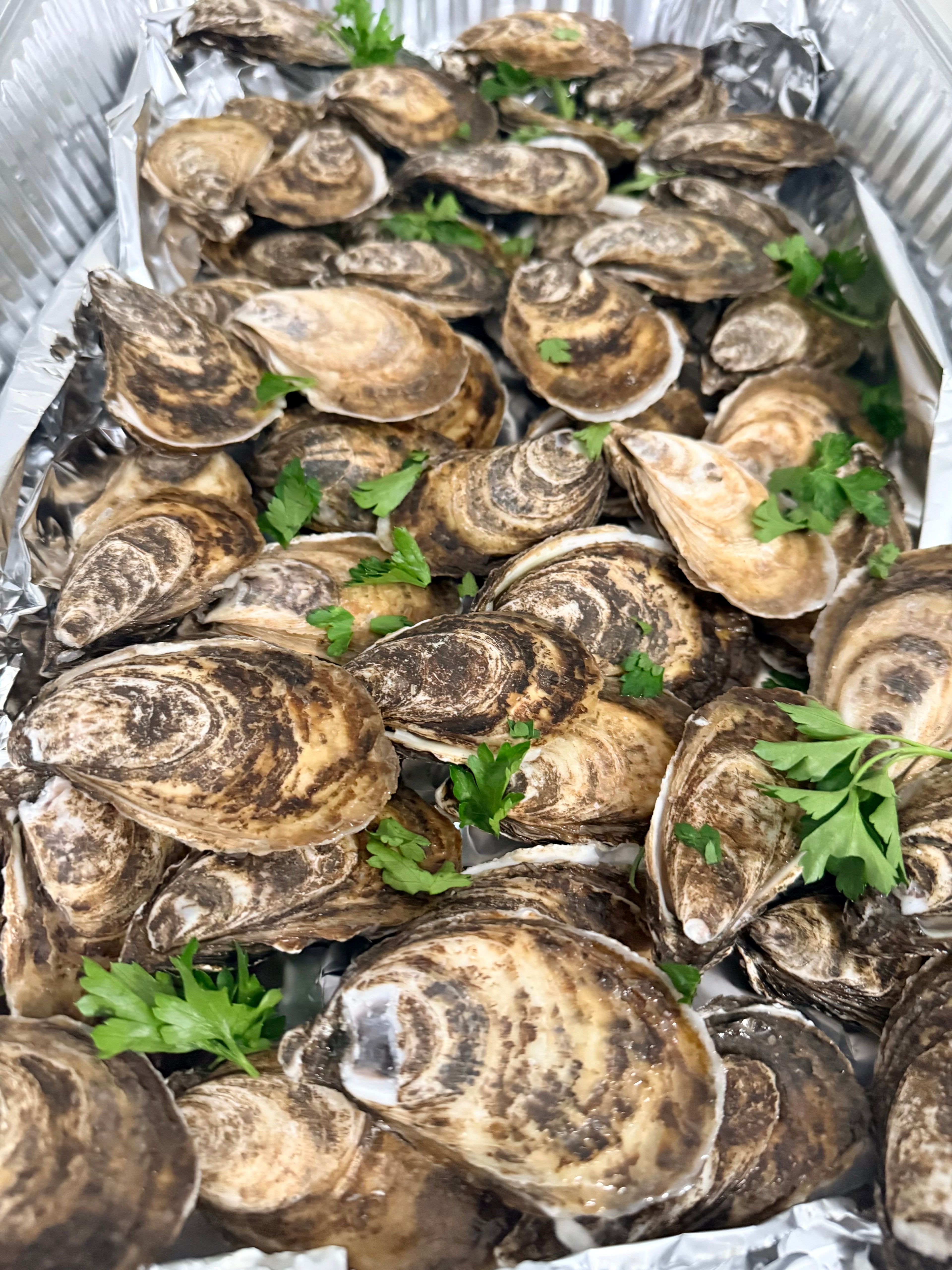 Oysters platters